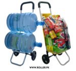 2in1shoppingroller-1.jpg
